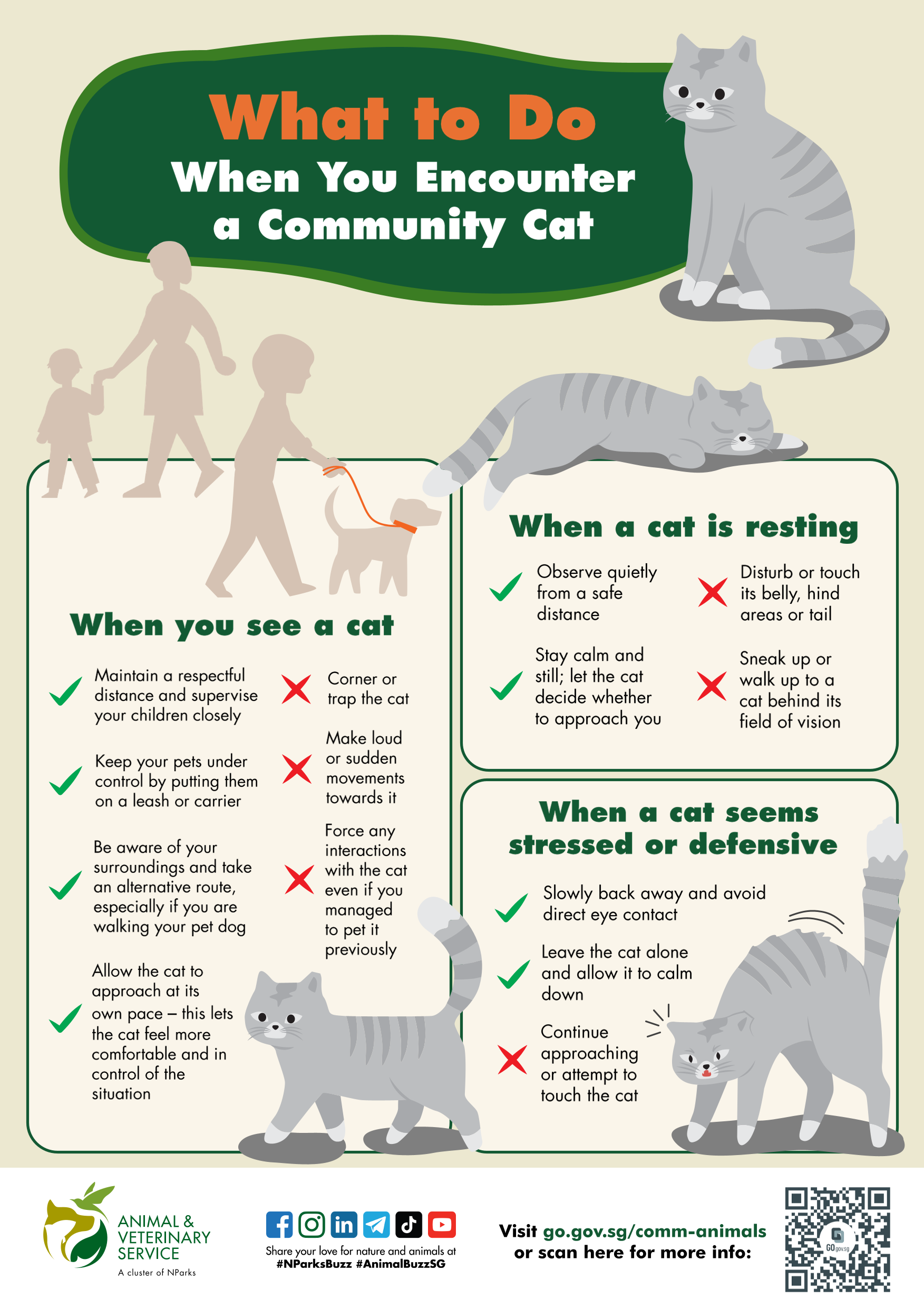 An infographic titled What to do when you encounter a community cat